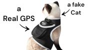 Portable Surveillance System GPS Pet Tracking Collars for Hunting Dogs Size:S