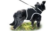 Portable Surveillance System GPS Pet Tracking Collars for Hunting Dogs Size:S